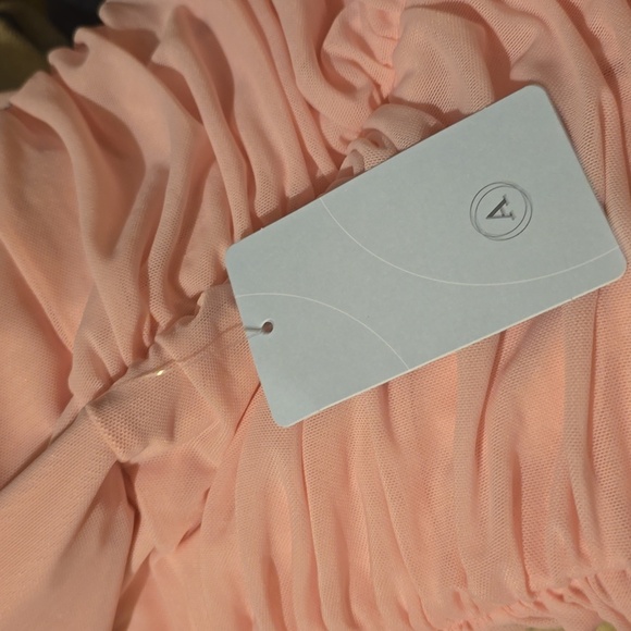 Bardot Lea Drop-Waist Mesh Maxi Blush Long Sleeve Dress, Retail $189.00US - Picture 12 of 16